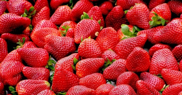 Fresas