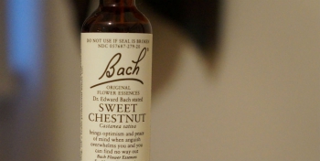 &iquest;Qu&eacute; son las Flores de Bach? Origen, usos tradicionales y evidencia cient&iacute;fica
