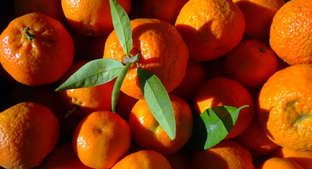 Mandarina