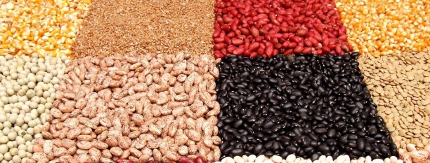 Legumbres, fuente de Vitamina B