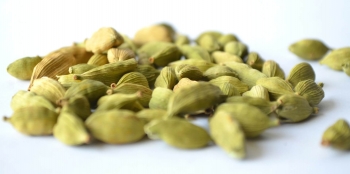 Cardamomo