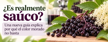 &iquest;Es realmente sa&uacute;co? Una nueva gu&iacute;a explica por qu&eacute; el color morado no basta