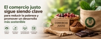 Comercio justo: c&oacute;mo ayuda a peque&ntilde;os productores y por qu&eacute; sigue siendo importante