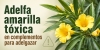 Alerta por complementos para adelgazar con adelfa amarilla t&oacute;xica y sustancias farmacol&oacute;gicas ocultas