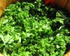 El kale, la col superalimento