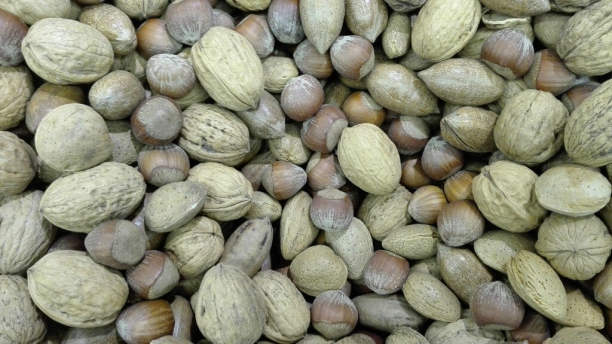 Frutos secos, fuente de oligoelementos