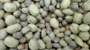 Frutos secos, fuente de oligoelementos