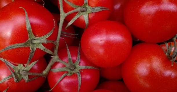 Tomates