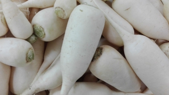 Daikon
