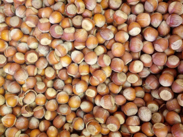 Avellanas, fuente de omega 3 y vitamina E