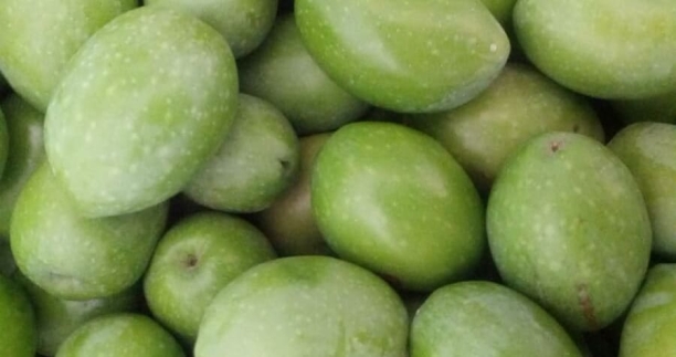 Aceitunas