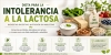 Dieta para la intolerancia a la lactosa