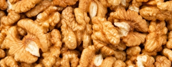 Nueces