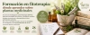Formaci&oacute;n en fitoterapia: d&oacute;nde aprender sobre plantas medicinales