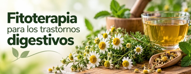 Fitoterapia para los trastornos digestivos