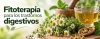 Fitoterapia para los trastornos digestivos