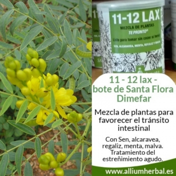 11 - 12 lax - bote 70 gramos de Santa Flora