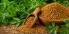 Fenogreco o alholva: propiedades, usos tradicionales y qu&eacute; dice la ciencia