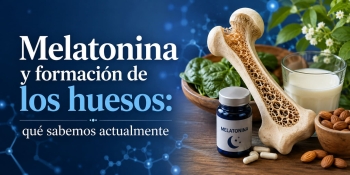 Melatonina y formaci&oacute;n de los huesos: qu&eacute; dice la ciencia