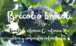 Beneficios del Brócoli o brécol para tu Salud