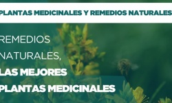 Vídeo de Equisalud. Remedios naturales: las mejores plantas medicinales